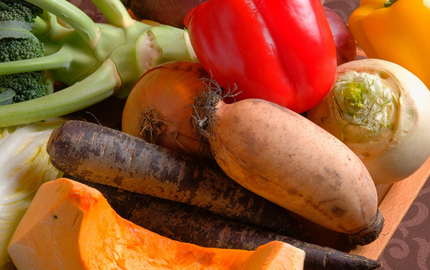 産地直送野菜メニュー