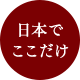 日本でここだけ