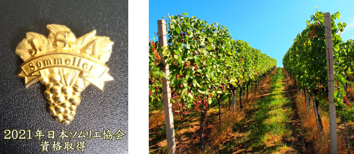 2021年 日本ソムリエ協会 資格取得
