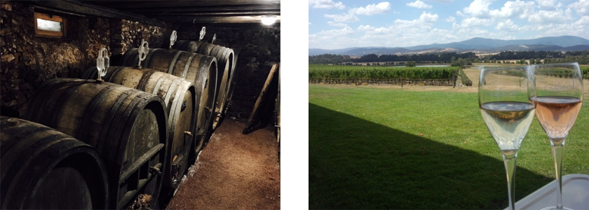 希少なワインをボトルで